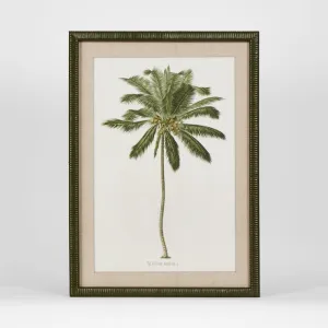 Apia Palms Wall Art A by Florabelle