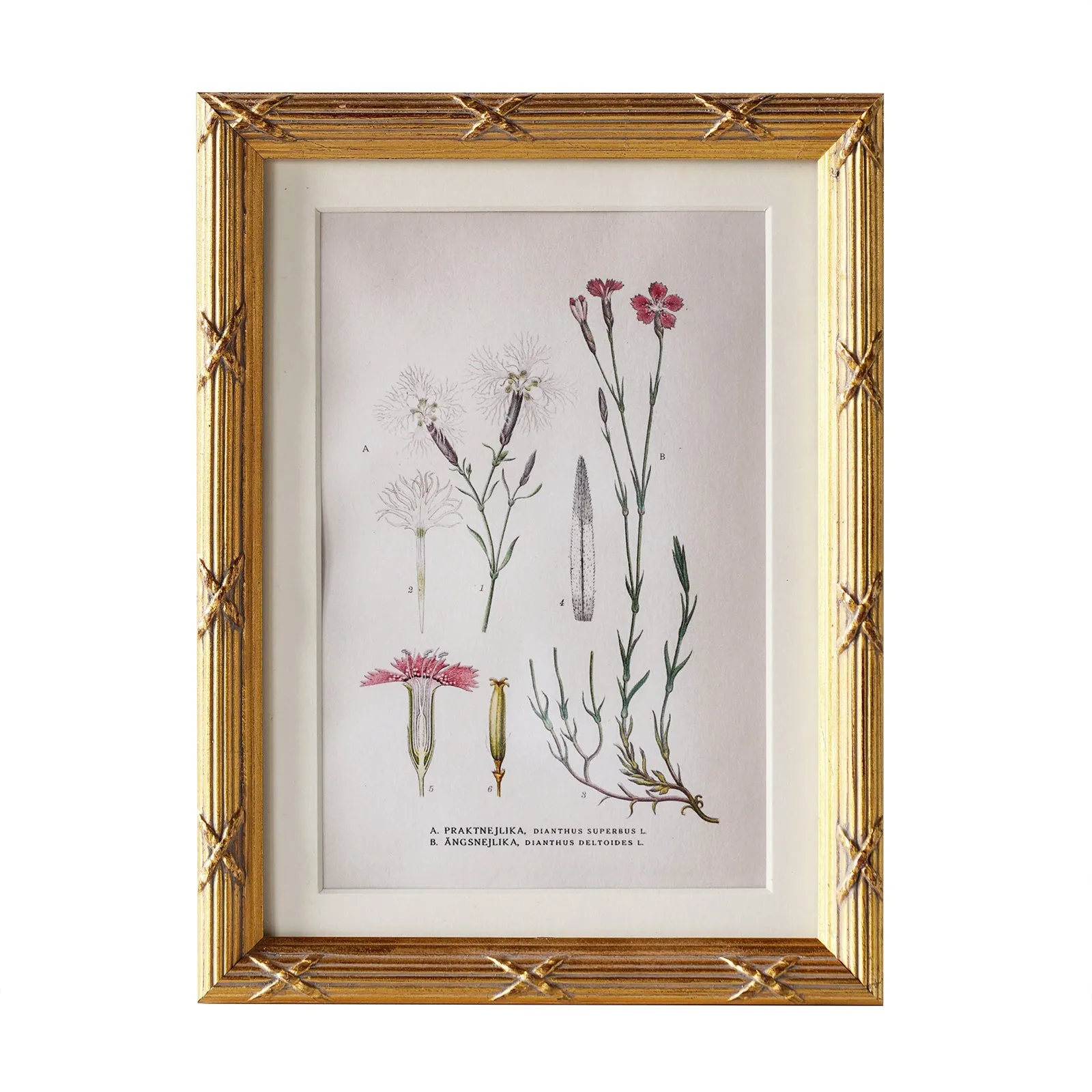 Arundel Matted Frame