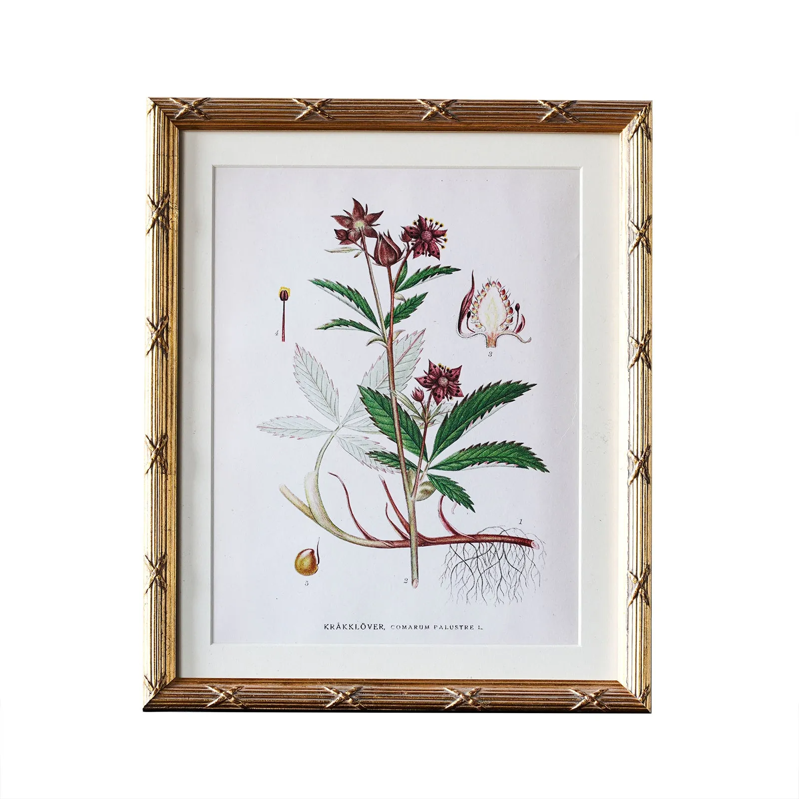 Arundel Matted Frame