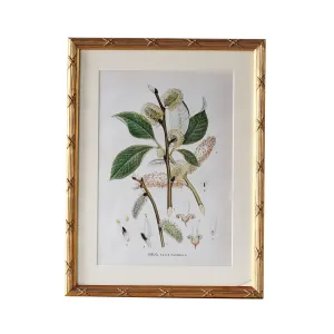 Arundel Matted Frame