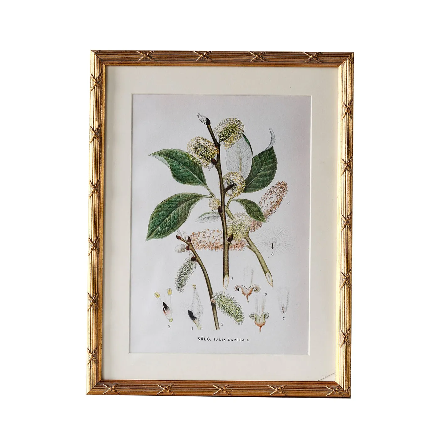 Arundel Matted Frame