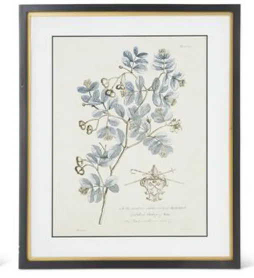 Blue Arbor Framed Print