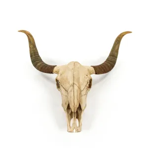 Bull Skull Wall Decor by Zentique