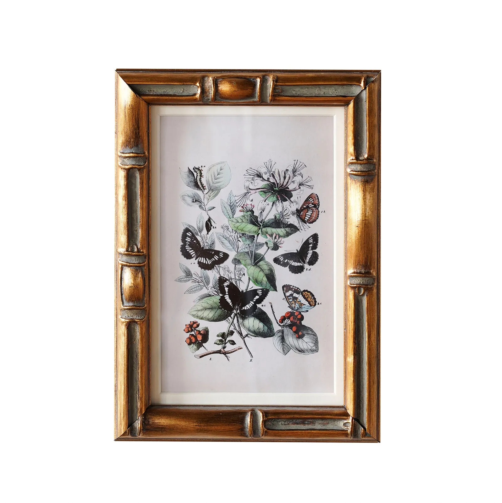 Burnley Matted Frame