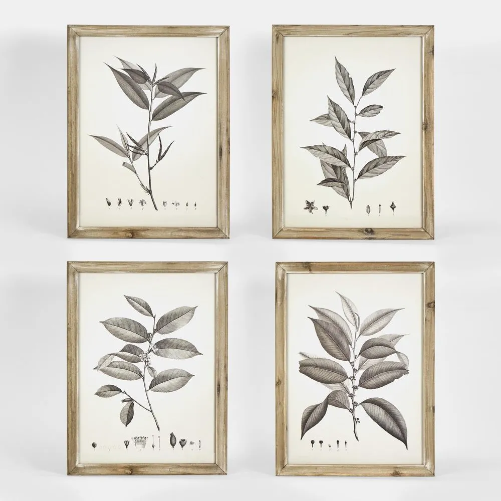 Chelsea Botanical Wall Décor Set 4 by Florabelle