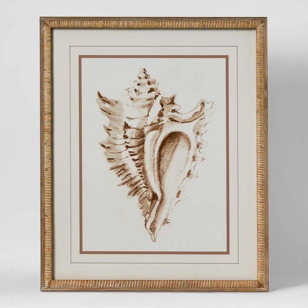 Conch Shell Wall Art A by Florabelle