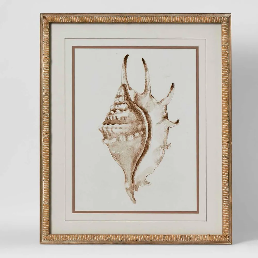 Conch Shell Wall Art B by Florabelle