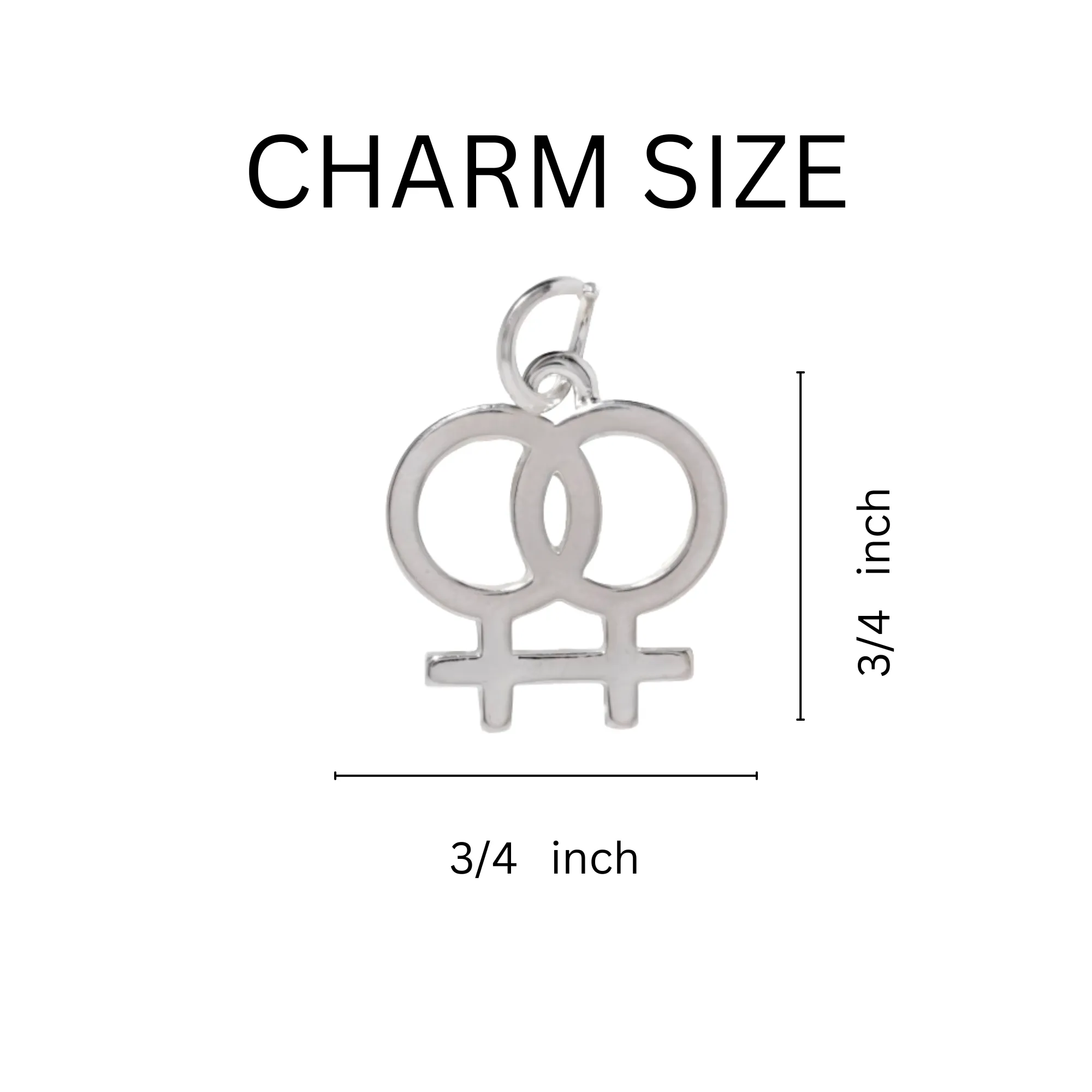 Lesbian Same Sex Female Symbol Horseshoe Key Chains