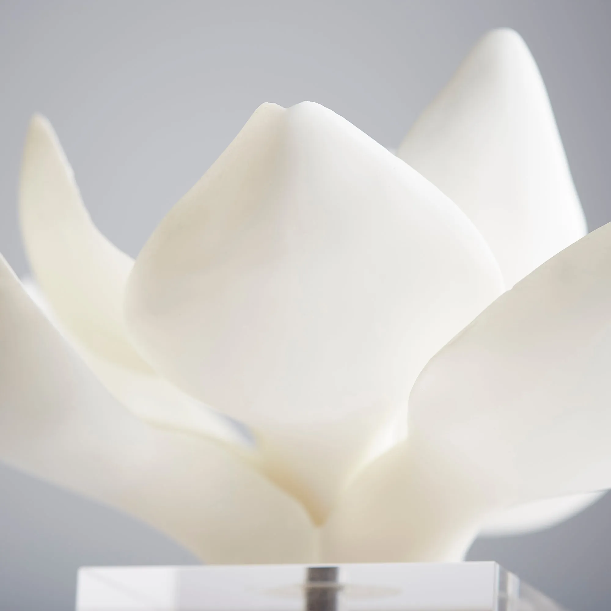 Magnolia Sculpture-MD by Cyan