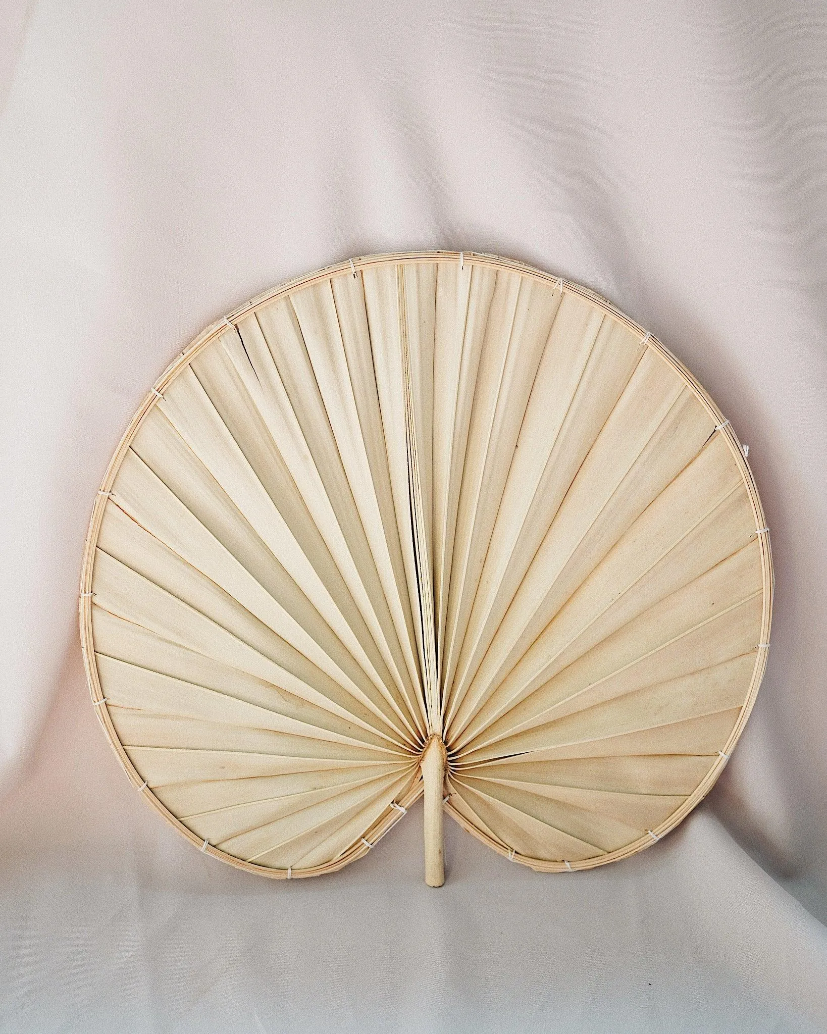 Palm Leaf Wall Art