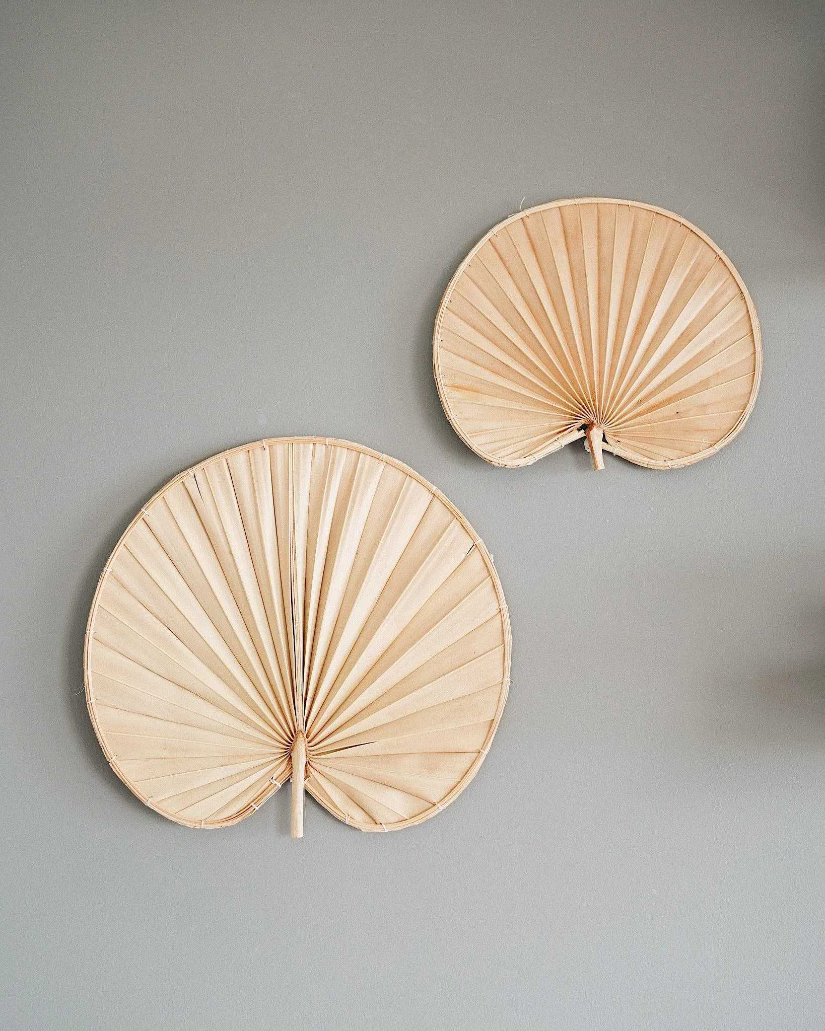 Palm Leaf Wall Art