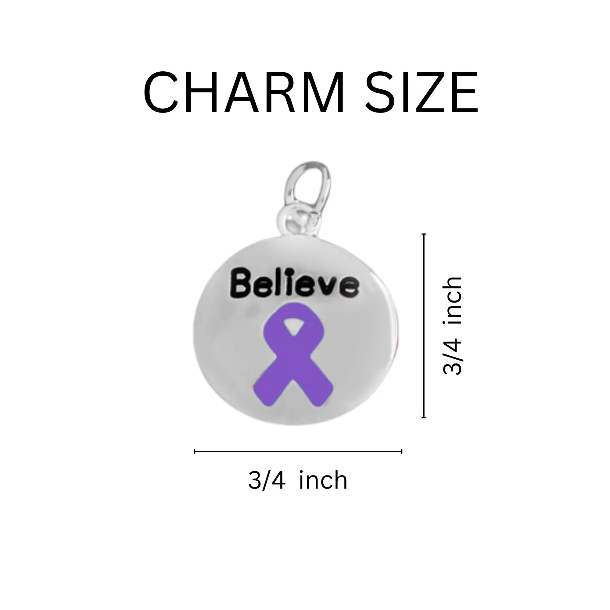 Purple Ribbon Circle Believe Horse Shoe Keychains