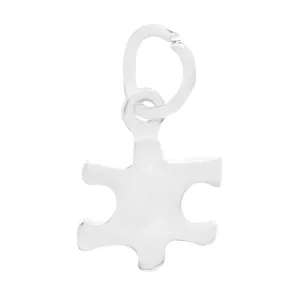 Small Autism Awareness Puzzle Piece Charms