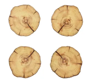 Woodland Drink Coasters in Natural & Brown Set of 4 in a Gift Box by Kim Seybert